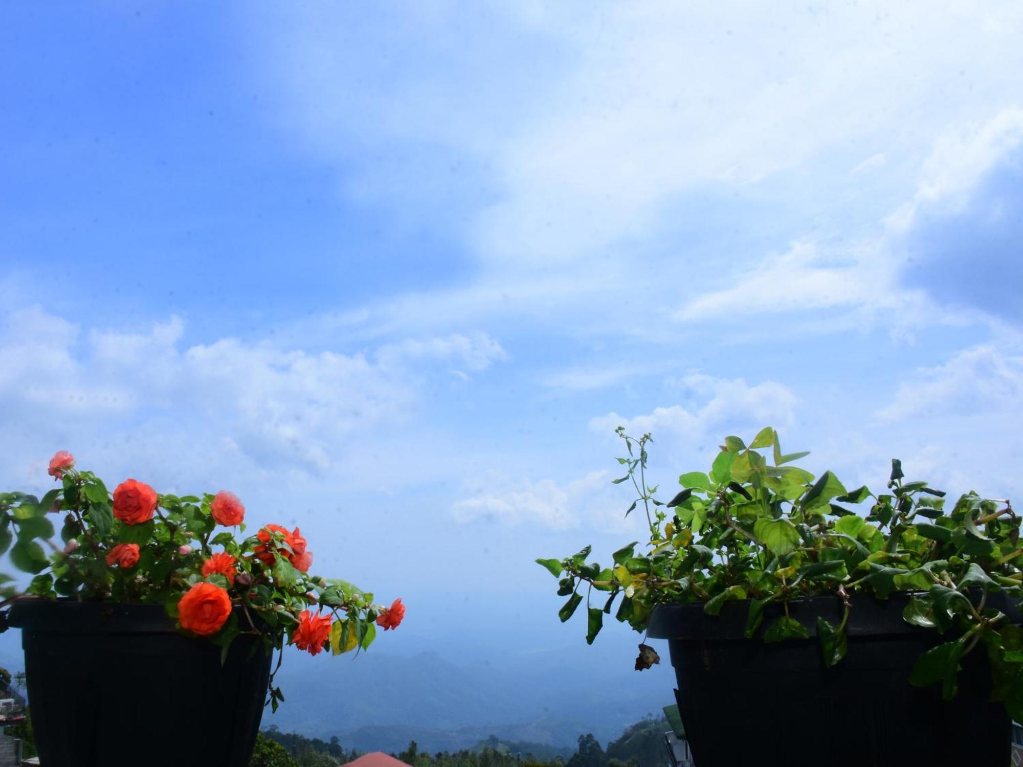 Grand View Guest House Haputale Ngoại thất bức ảnh